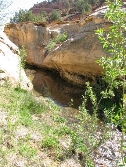 slideshow image