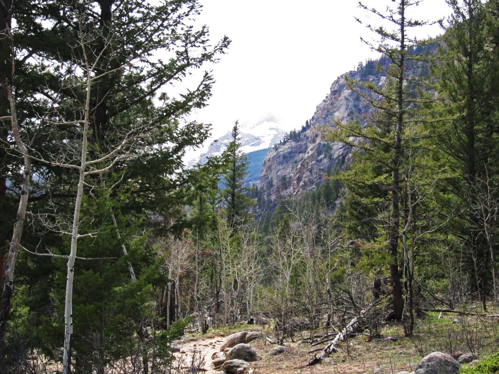 slideshow image