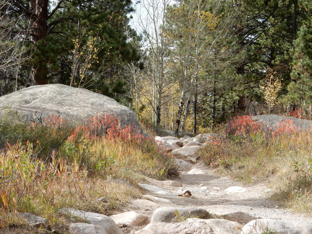 slideshow image